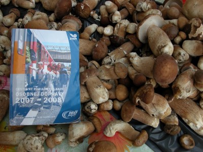 Zobrazi� cel� fotku