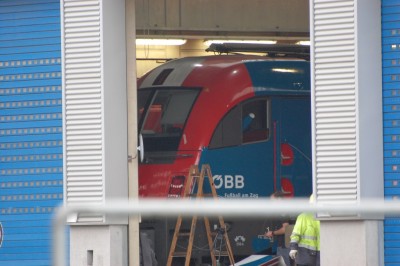 Zobrazi� cel� fotku