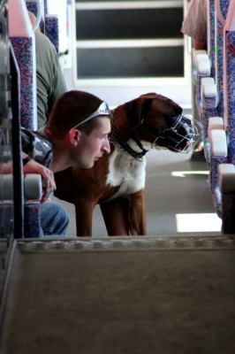 Zobrazi� cel� fotku