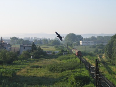 Zobrazi� cel� fotku