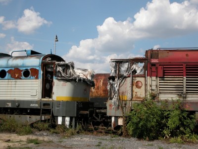 Zobrazi� cel� fotku