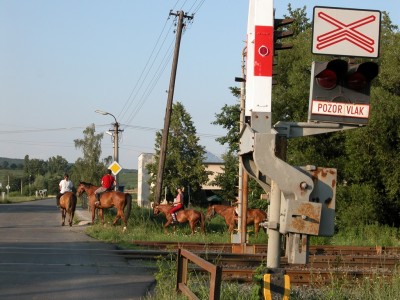 Zobrazi� cel� fotku