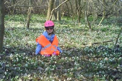 Zobrazi� cel� fotku