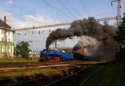 Zobrazi� cel� fotku