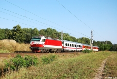 1219947718.jpg