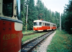 1225641771.JPG