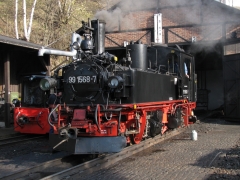 1240045217.jpg