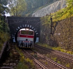 1260299946.JPG